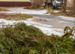 Служба благоустройства Камышина решила измельчить лишние елки? - камышанин