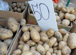 В Камышине ценники на картошку и помидоры сравнялись