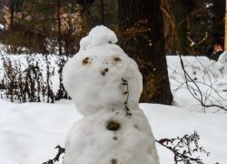 Легкий мороз и небольшой снег: погода в Камышине 6 января