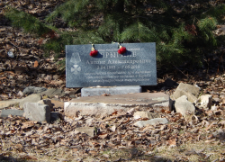 В Камышине требует обновления памятный знак нашему земляку, погибшему в Сирии