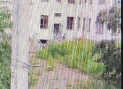 Камышане выложили в соцсетях видео малолетних разбойников, крушащих бывшую школу №1 (ВИДЕО)