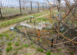 "Ну, как у нас в Камышине следят за кладбищем? - сердце на части рвется!"