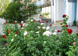 В Камышине после 35-градусной жары немного посвежеет