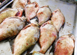 Мясо и рыба подорожали в Волгоградской области 