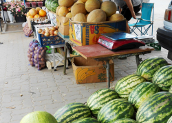 Специалисты Роспотребнадзора велят камышанам есть арбузы от пуза