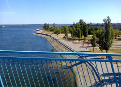 Когда же на набережной администрация Камышина распорядится высадить деревья взамен уничтоженных в парке "Топольки"? - камышанин