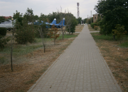 Аллея из засохших деревьев в камышинском парке Победы - а рядом река!