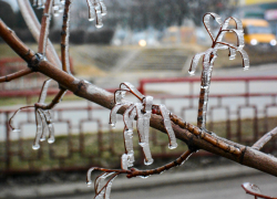 В Камышине в многоэтажке нашли тело молодого мужчины, которого разыскивали с конца февраля