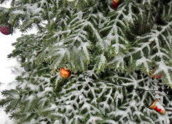 Главной тональностью новогоднего поздравления камышанам от главы города Станислава Зинченко стала военная тема, но с пожеланиями мира и процветания