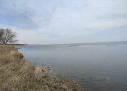 В акватории Камышина Волга стремительно очищается ото льда (ВИДЕО)