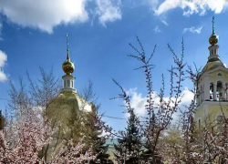Редкую исцеляющую Тадулинскую икону везут в Волгоград: когда святыня прибудет в Камышин