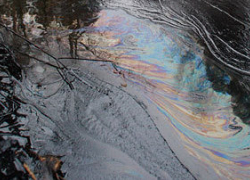 Жители Камышинского района бьют тревогу из-за разлива нефти в реку Иловля