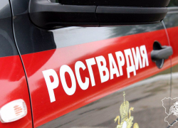 В первый день после праздников росгвардейцы поймали в Камышине похитителей  банковской карты и дамской сумочки