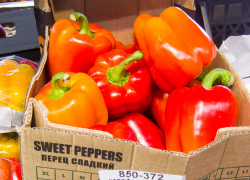 Следите за своими ценниками, а то как ни пробьешь товар - акция закончилась! - камышанка