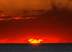 В Камышине завершено расследование по жуткому уголовном делу, главный фигурант которого убил мать ножницами