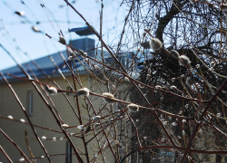 В Камышине 12 марта вновь будут журчать ручьи: погодная повестка на 12 марта