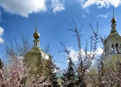 Станислав Зинченко раньше священников поздравил горожан с Вербным воскресеньем сегодня, 13 апреля