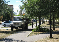 В Камышине начали расчищать парк "Топольки" к Арбузному фестивалю