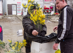 Плюсовые температуры и небольшой дождь (или снег) прогнозируют синоптики в Камышине 7 марта