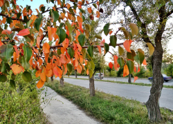 Синоптики заявили, что по ночам камышане почувствуют дыхание осени