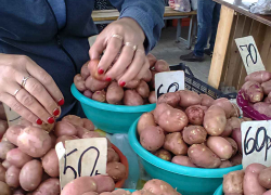 В Камышине помидоры на рынке подешевели до 130 рублей, а картошка замерла на 60-ти