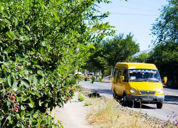 С 1 октября в Камышине дорожает проезд в маршрутках