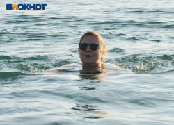 Цены на огурцы, капусту и отдых на Черном море взмыли в Волгоградской области