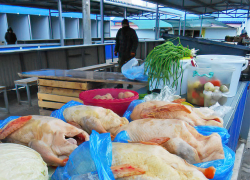 Волгоградстат не наблюдает предновогоднего бума цен в Волгоградской области