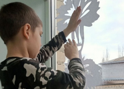 В Камышинском районе ко 2 февраля в «Солнечном доме» украсили «Окна Сталинграда»