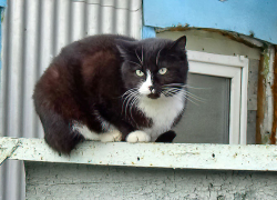 Прохладный день и магнитную бурю спрогнозировали синоптики в Камышине 19 марта