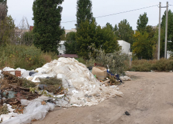 Сколько еще элитный садик в элитном микрорайоне будет утопать в кучах мусора и зарослях амброзии? - камышанка