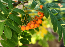 Свежий, но очень солнечный день выпадает камышанам сегодня, 6 сентября