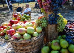 Самым красивым компонентом фруктовых ваз на Арбузном фестивале в Камышине стал виноград, цену же на него "загнули" по максимуму