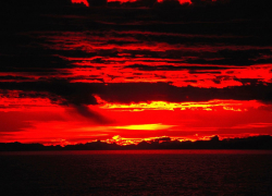 "Муж не болел, но отстранился, замкнулся", - в Камышине мужчина свел счеты с жизнью