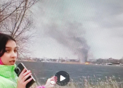 Не волнуйтесь и не переживайте: в Волгоградской области начали контролируемый, но засекреченный отжиг сухой травы и камыша (ВИДЕО)