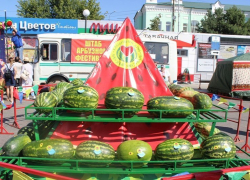 К чести организаторов Камышинского Арбузного фестиваля, на его площадках продавались очень качественные полосатые ягоды