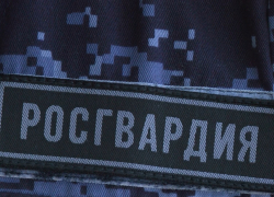 В Камышине росгвардейцам попалась магазинная воровка