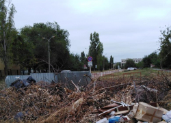 В Камышине свалка на улице Гороховской рядом с мотострелковым полком претендует на статус рекордсменки
