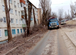 На улице Гороховской в Камышине уничтожают последние деревья, зачем? - камышанка