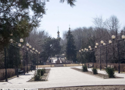 Камышан зовут в городской парк - натанцеваться до упаду