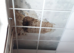 В Камышине в соцсетях родители предупреждают друг друга, что в школе их детям на голову может упасть потолок