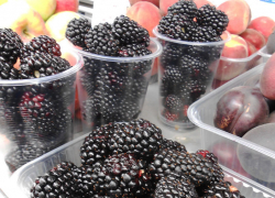 В Камышине подорожала садовая ежевика