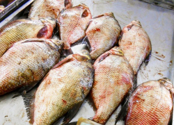 В России утвердили список из 24-х продуктов для оперативного контроля цен  на них