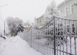 Вырывающий деревья с корнем снежный ураган движется к Волгоградской области 