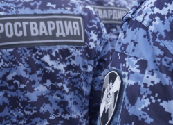 В Камышине росгвардейцы задержали "молодца", вытащившего деньги из кошелька женщины