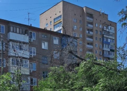 Камышане интересуются, когда "Благоустройство" заберет упавшее дерево из 4-го микрорайона