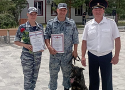 Инспектор-кинолог камышинской полиции Сергей Бурейников с немецкой овчаркой Зангой стали победителями областного конкурса