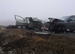 Стали известны подробности страшной смертельной аварии под Камышином