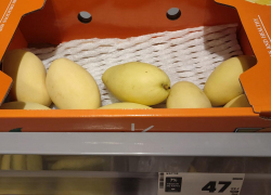   В Камышин "приехало" желтое манго прямиком из Таиланда