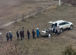 Камышане заспорили, насколько безопасно покупать молоко и творог во дворах